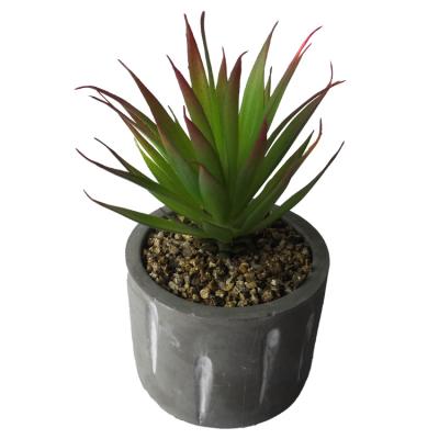 China HOT minimalist! House Plastic Plants For Home Office Decoration Cheap Artificial Succulent Plants for sale