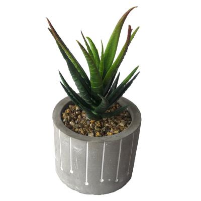 China Various Succulent Plant Minimalist Sale Artificial Plants With Cement Pots Home Decoration for sale