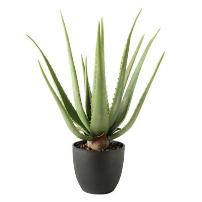 China Wholesale 57cm Lifelike Potted Green Artificial Aloe Succulent Plant for sale