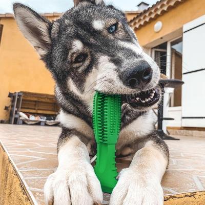 China Stocked Dog Chew Toys Dog Toothbrush Pet Molar Tooth Remover Stick Doggy Puppy Dental Care Dog Pet Brushing Supplies for sale