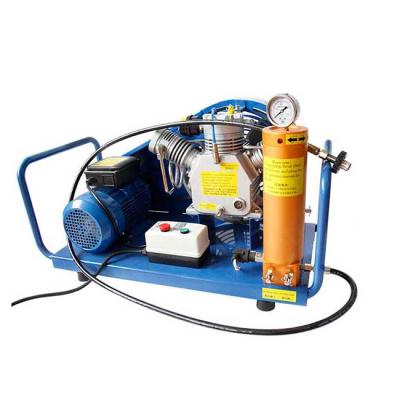 China 4500 psi compressor 300bar exceptional pcp lubricated electric mini scuba portable compressor for sale