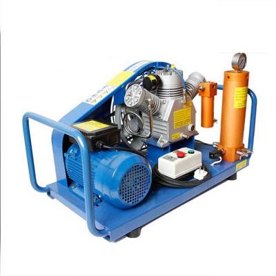 China Portable Wholesale Scuba Equipment Lubricated Breathing Air Compressor For Diving for sale