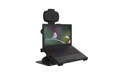 China Dorn-Schmerz LCD-Monitor-Stand, der automatischen Laptop-Stand-Arm anhebt zu verkaufen