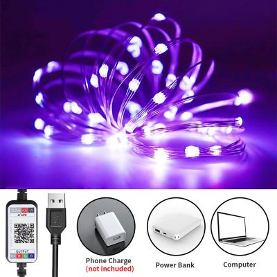 China Smart Christmas Decorations APP Control Christmas Tree Lights, USB Powered Outdoor LED Fairy Lights Christmas Decorations String Lights for sale