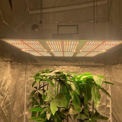 China FLOWER LED Grow Light App Control 600W 400W 200W 100W LM301B IR UV Panel LED Grow Light for sale