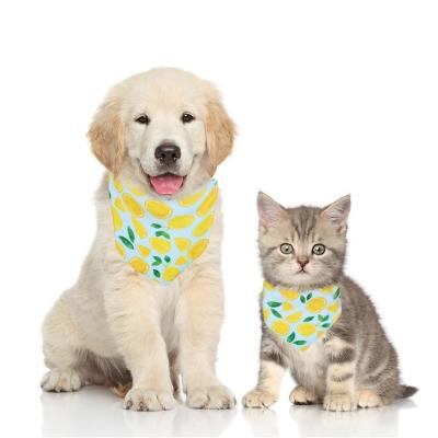 China G01218 Viable Printed Cat Collar Summer Plain Dog Scarf Adjustable Custom Cooling Bandana Funny Fruit Dog Bandana for sale