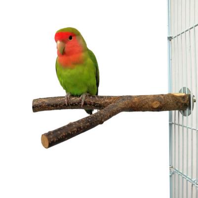 China G00478 Viable Bird Toys For Parrot Fork Tree Branch Holder Raw Wooden Hamster Branch Perches For Bird Cage for sale