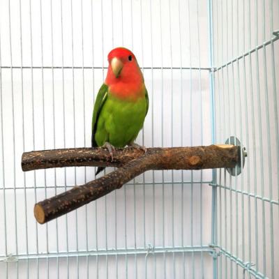 China Perches G00475 Portable Pet Viable Bite Claw Wooden Bird Parrot Holder Grinding Toys Hanging Cage Apple Wood Product Bird Stand for sale