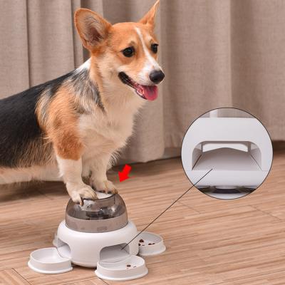 China Hot New Products Automatic Pet Feeding Training Type Fun Press Dog And Cat Leaky Food Toys Grain Bin Feeder Transparent for sale