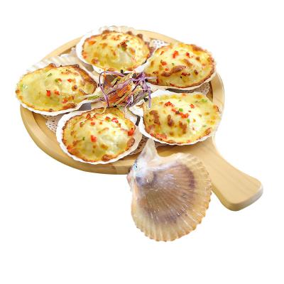 China Dried clean dry scallop shells for sale