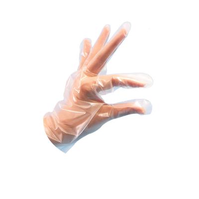 China Contemporary CPE GLOVES DISPOSABLE PLASTIC CPE GLOVES for sale