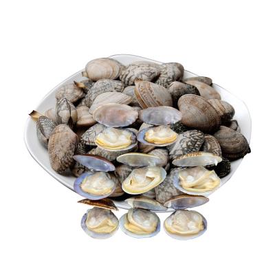 China Clam Shell Oil FROZEN Vacuum Packing Precooked Clam for sale