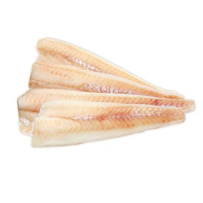 China New Low Fat Frozen Hook China Seafood Pollock Fillet Alaska Pollock Fish for sale