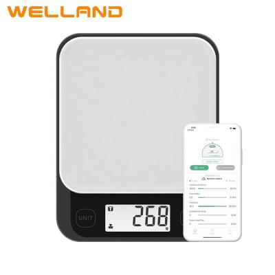 China Concise And Slim Design Electronic Kitchen Food Scale Electronic Digital Food Scale for sale