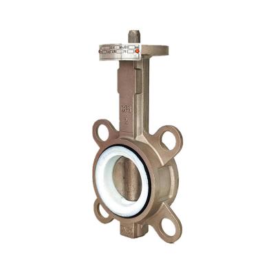 China General Factory Wholesale Soft Seal All Stainless Steel Body PTFE Wafer Butterfly Valve for sale