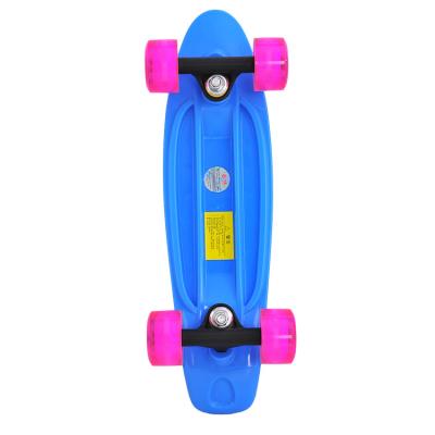 China Small OEM and ODM Mini Fish Skateboard 17 Inch Skateboards Complete Skateboard for Boys Youth Beginners for sale