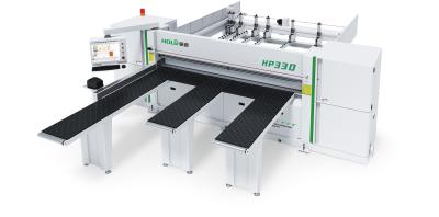 China Horizontal Panel Saw, With Horizontal Panel Saw, Servo Control Saw Car en venta