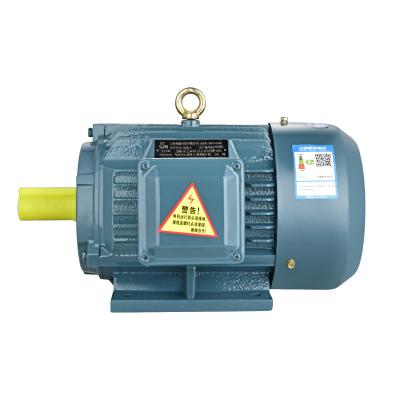 China Drip-proof Chinese suppliers  Hot sale YE3 synchronous motor three phase motor in AC motor for sale