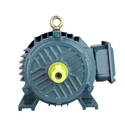 China Drip-proof PMSM 380v 4KW ac motor 3 phase electric motor permanent magnet synchronous motor for sale