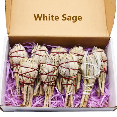 China Hot Selling Sage Smudge Organic Plant Dry White Leaves Tease Sticks Chicken Leg Bundles Wholesale for sale