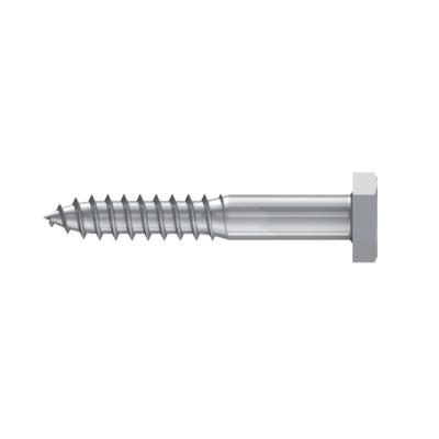 China Stainless Steel 304 316 Hex Lag Wood Screw Latest Stock Size M6 - M20 A2 A4 for sale