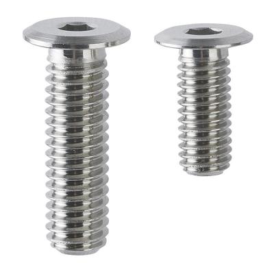 China Stainless Steel Ultra Low Head Cap Screws Hexagon Socket CBSTSR4 for sale