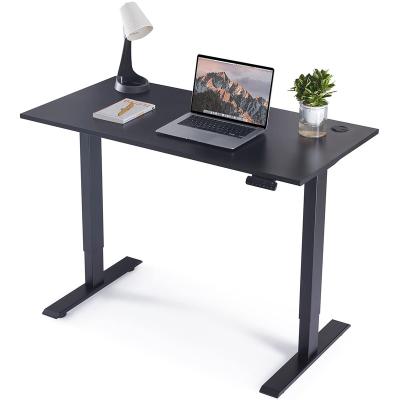 China Double Motor Stable Height Low Noise Adjustable Electric Standing Desk Computer Desk Pre-Installation (Height) Home Office Stand Up Desk for sale