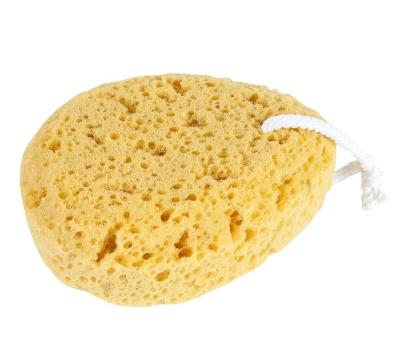 China EXFOLIATE High Quality Cute Biodegradable Shower Sponge Bath for sale