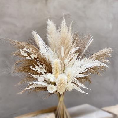 China Boho Decor Most Popular Boho Wedding Home Decor Dried Flower Bouquets for sale