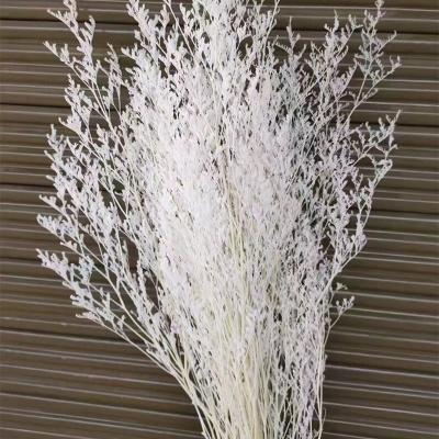 China Natural dry flowers wholesale lover hot sale natural decorative grass for sale