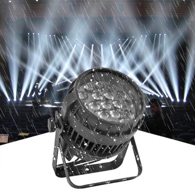 China Stage DMX Professional DJ Lighting 19*12W LED Zoom Par Light Led Dmx Stage Light For Outdoor Party Wedding for sale