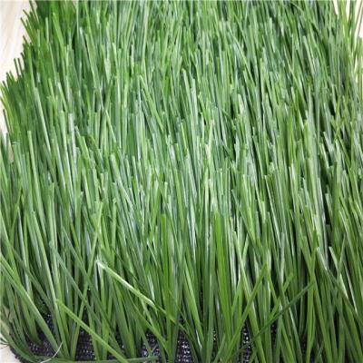 China Long Guarantee Hot UV Green Resistance Double Sale Artificial Grass For Soccer Field H X--Diamant 60084 for sale