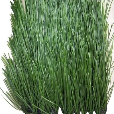 China Wholesale football stadium top grade cheap price grass soccor artificial grass for sale