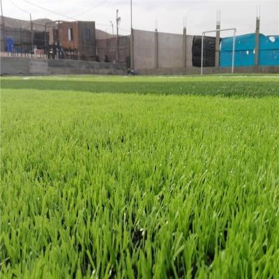 China Football Field Cheap Sports Artificial Grass Mat For Football for sale