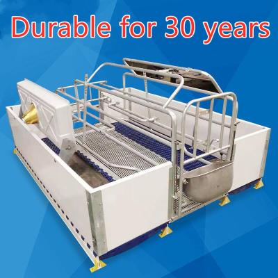 China Pig Farm Pig Farm Equipment Galvanized Pig Farrowing Crate for sale