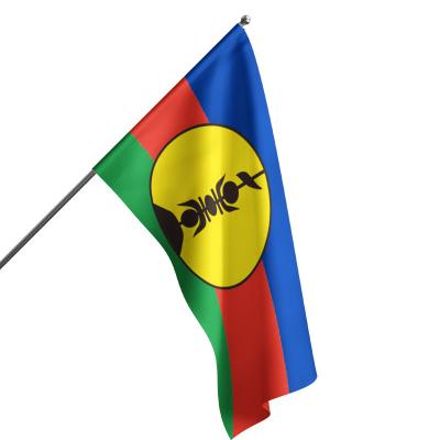 China Cool Color Referee Flag Brazil Flag Panama Flag for sale