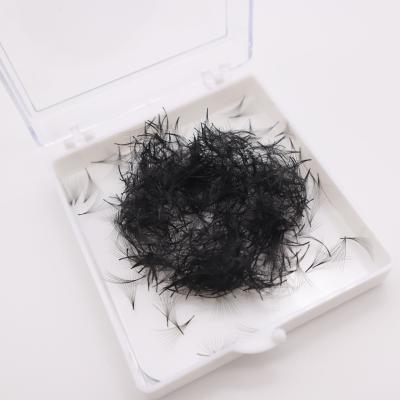 China Long New Style Natural Lashes C D Loose Curl 8d Blooming Different Premade Mega Volume Fan Eyelash Extensions for sale