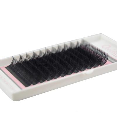 China Create Fans By Technique Free Sample Wholesale Eyelash Extension 0.03 0.05 0.07mm Thickness Volume Eyelashes for sale