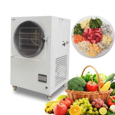 China Multifunctionele Industriële Voedselvorst Droger Mini Vacuum Food Lyophilizer Te koop