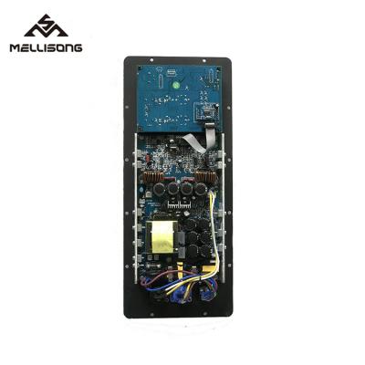 China Active Digital Speaker High Power Digital Class D Subwoofer Amplifier Panel Audio Active Module With DSP for sale