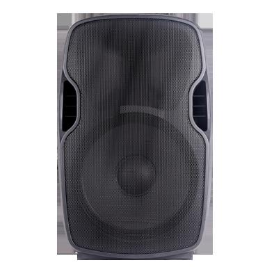 China ABS Plastic Portable Trolley Speaker for sale