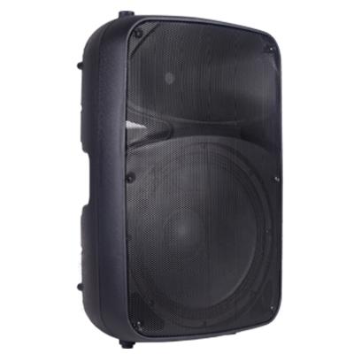 China Outdoor activities high power the professional audio passive speaker for sale