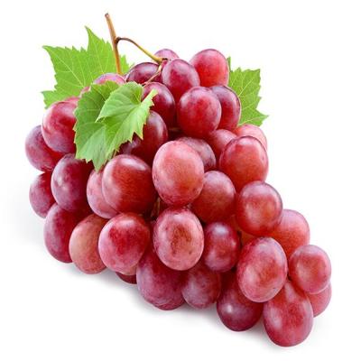 China Fresh Good Quality Crimson Seedless Burst Red Muscat Grapes for sale