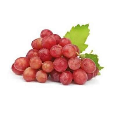 China 2021 Harvest China Hot Selling Vitamin Rich Red Globe Grape High Quality Fresh for sale