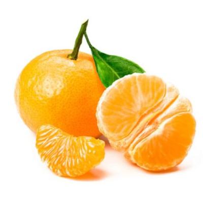 China Factory fresh new orange citrus new crop juicy tangerine for sale