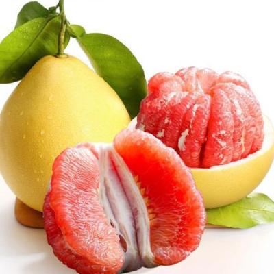 China Competitive Price Fresh Honey Red Pomelo Hot Selling Fruit for sale