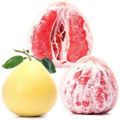 China Honey Red Pomelo Fresh Fruit from Honey Pomelo Wholesale China Fresh for sale