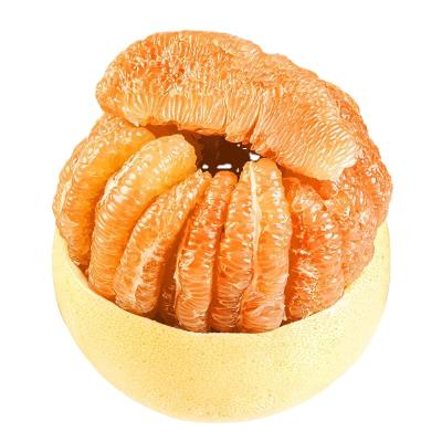 China Healthy Nutritious Fresh Sweet Grapefruit Chinese Grapefruit For Honey Golden Pomelo Wholesale for sale