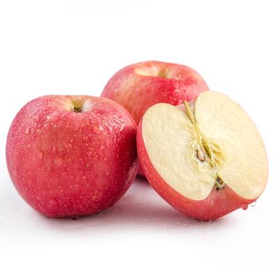 China Wholesale High Quality Competitive Price Fresh Fuji Fresh Red Apple From China for sale