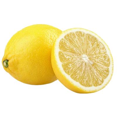 China Wholesale fresh chinese manufacture fresh citrus top nutrition yellow lemon for sale